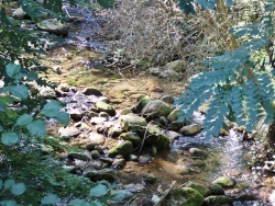 Photo paysage et monuments, Codalet - la rivière