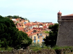 Photo paysage et monuments, Collioure - Collioure- Mai 2016.B.