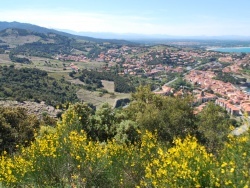 Photo paysage et monuments, Collioure - COLLIOURE