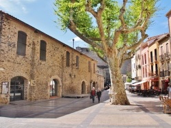 Photo paysage et monuments, Collioure - La Commune