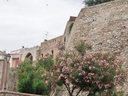 Photo paysage et monuments, Elne - la commune