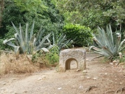 Photo paysage et monuments, Passa - la commune