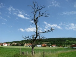 Photo paysage et monuments, Hohengoeft - juin 2012