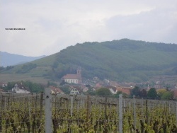 Photo paysage et monuments, Kintzheim - vue sur Orschwiller dela piste cyclable