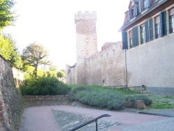 Photo paysage et monuments, Obernai - la commune