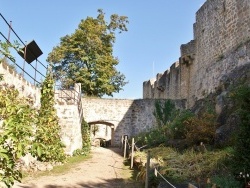 Photo paysage et monuments, Orschwiller - le château