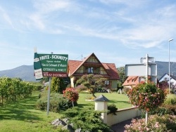 Photo paysage et monuments, Ottrott - la commune