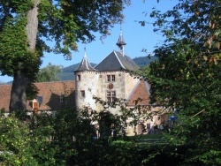 Photo paysage et monuments, Thanvillé - le château