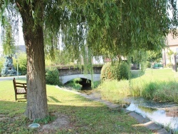 Photo paysage et monuments, Algolsheim - Riviere