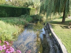 Photo paysage et monuments, Algolsheim - Riviere