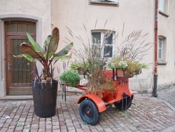 Photo paysage et monuments, Ammerschwihr - Le Village