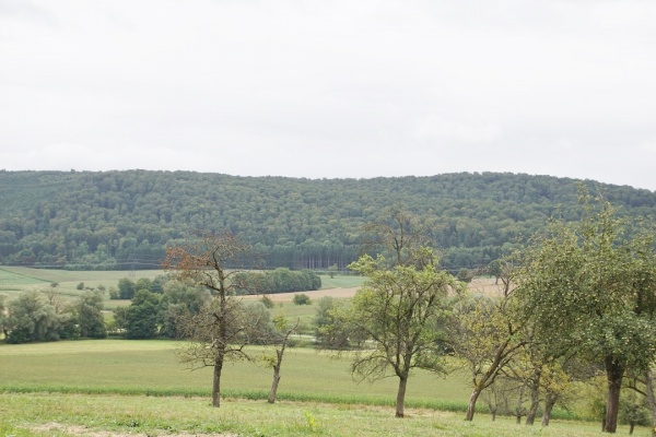 Photo Courtavon - le village