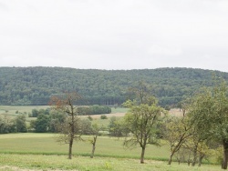 Photo paysage et monuments, Courtavon - le village