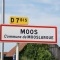 moos (68580)