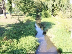 Photo paysage et monuments, Munwiller - la nature