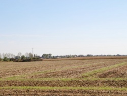 Photo paysage et monuments, Munwiller - la nature