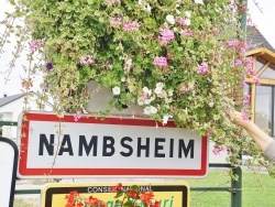 Photo paysage et monuments, Nambsheim - nambsheim (68740)