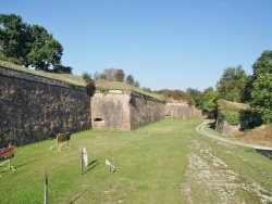 Photo paysage et monuments, Neuf-Brisach - le parc