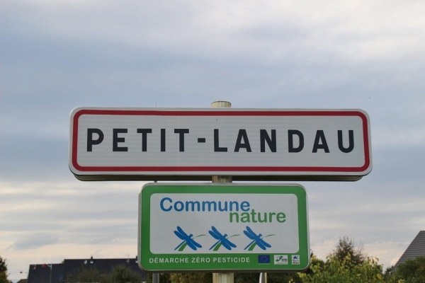 Photo Petit-Landau - petit landau (68490)