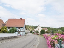 Photo paysage et monuments, Raedersdorf - la commune