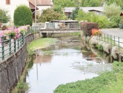 Photo paysage et monuments, Raedersdorf - la rivière