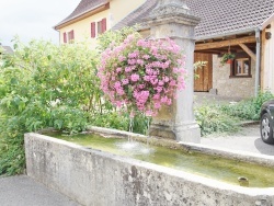 Photo paysage et monuments, Raedersdorf - la fontaine