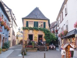 Photo paysage et monuments, Ribeauvillé - la commune