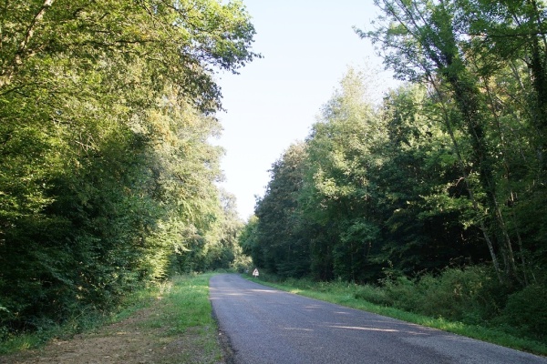 Photo Seppois-le-Bas - le village