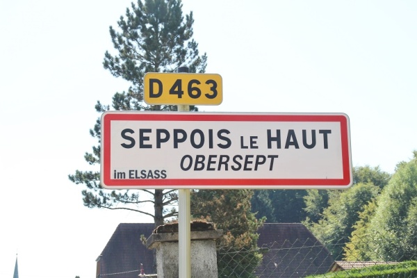 Photo Seppois-le-Haut - sappois le haut