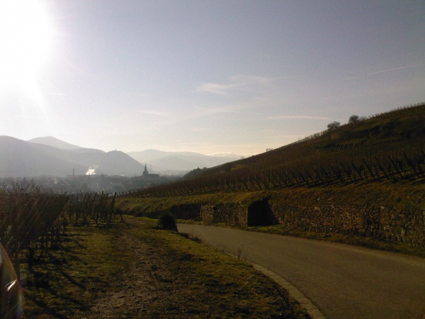 Photo Turckheim - vue du vignoble