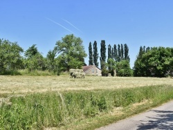 Photo paysage et monuments, Ainvelle - la nature