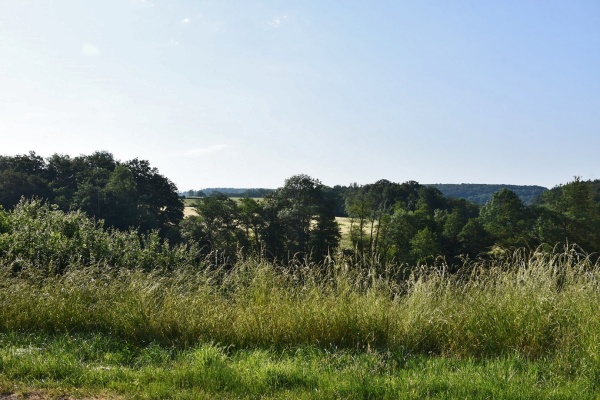 Photo Ambiévillers - la nature