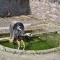 Photo Betoncourt-Saint-Pancras - le lavoir