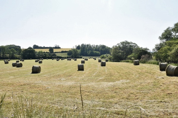 Photo Bourbévelle - le champs