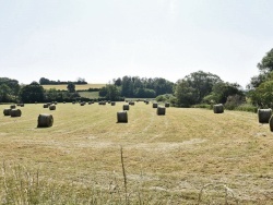 Photo paysage et monuments, Bourbévelle - le champs