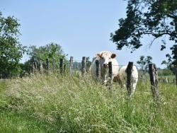 Photo paysage et monuments, Bousseraucourt - le village