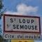 Saint loup sur Semouse (70800)