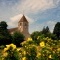 Eglise de Branges.71