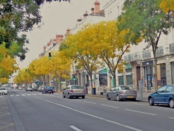 Photo paysage et monuments, Chalon-sur-Saône - Boulevard de la République.