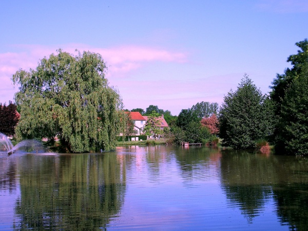 Photo La Chapelle-Saint-Sauveur - Etang du bourg 1.