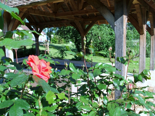 Photo La Chapelle-Saint-Sauveur - La chapelle st Sauveur 71-la rose du lavoir.