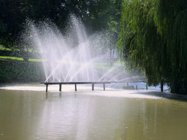 Photo La Chapelle-Saint-Sauveur - La chapelle;Les grandes eaux...