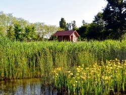 Photo paysage et monuments, La Chapelle-Saint-Sauveur - La Chapelle saint Sauveur-Mai 2014-Espace Robelin.2.