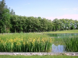 Photo paysage et monuments, La Chapelle-Saint-Sauveur - Espace Robelin.3.