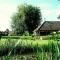 Photo La Chapelle-Saint-Sauveur - Le lavoir.1.