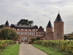 Photo paysage et monuments, Chasselas - le château