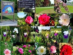 Photo paysage et monuments, Châtenoy-en-Bresse - Le parc saint Nicolas.Montage photos