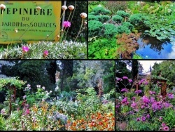 Photo faune et flore, La Chaux - La Chaux.71;Le jardin des sources.