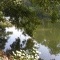 Photo Le Creusot - Parc de la Verrerie - Le plan d'eau