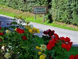 Photo paysage et monuments, Frangy-en-Bresse - Frangy.71-Roses en fêtes.